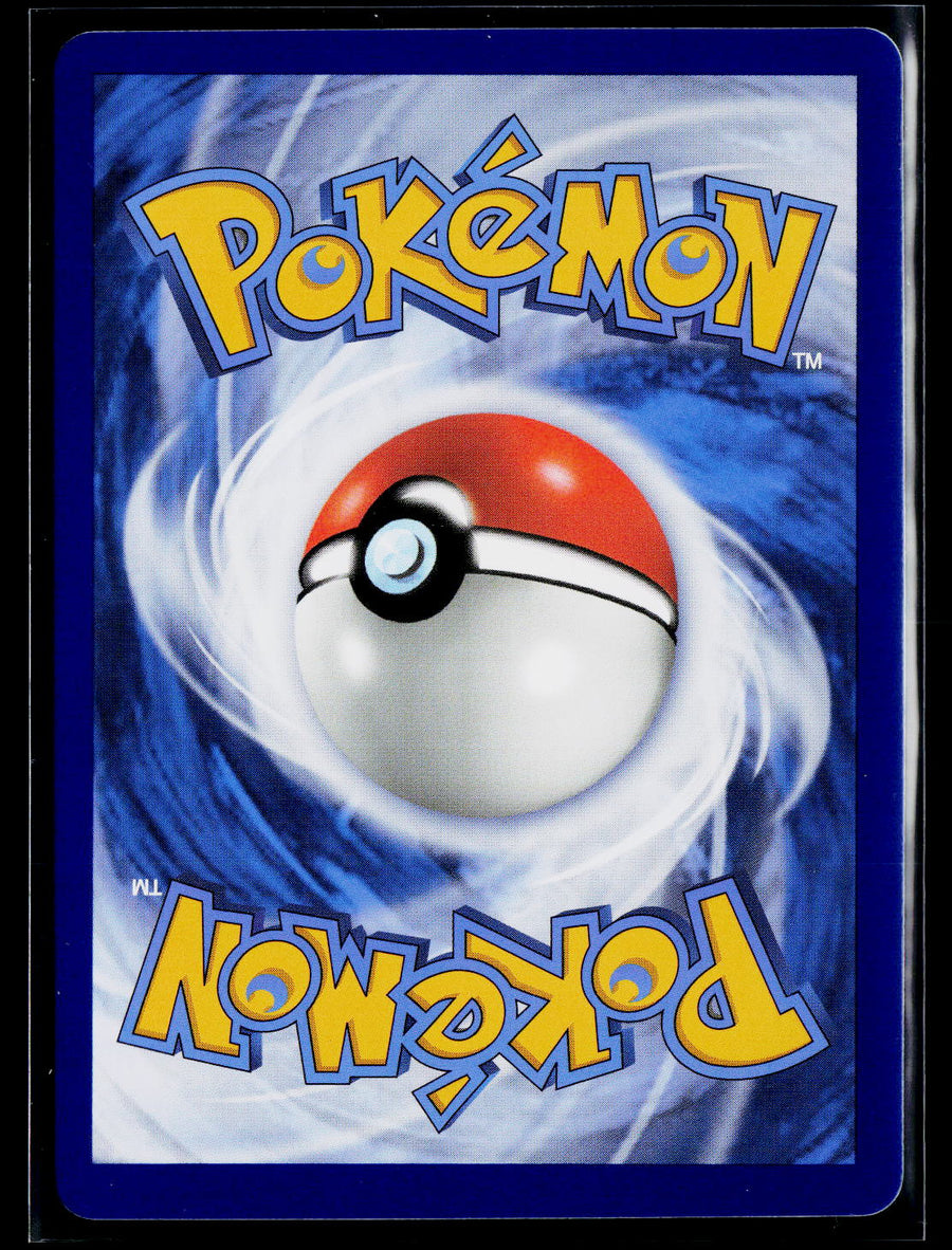 SWSH: Sword & Shield Promo Cards #SWSH291 Lucario VSTAR