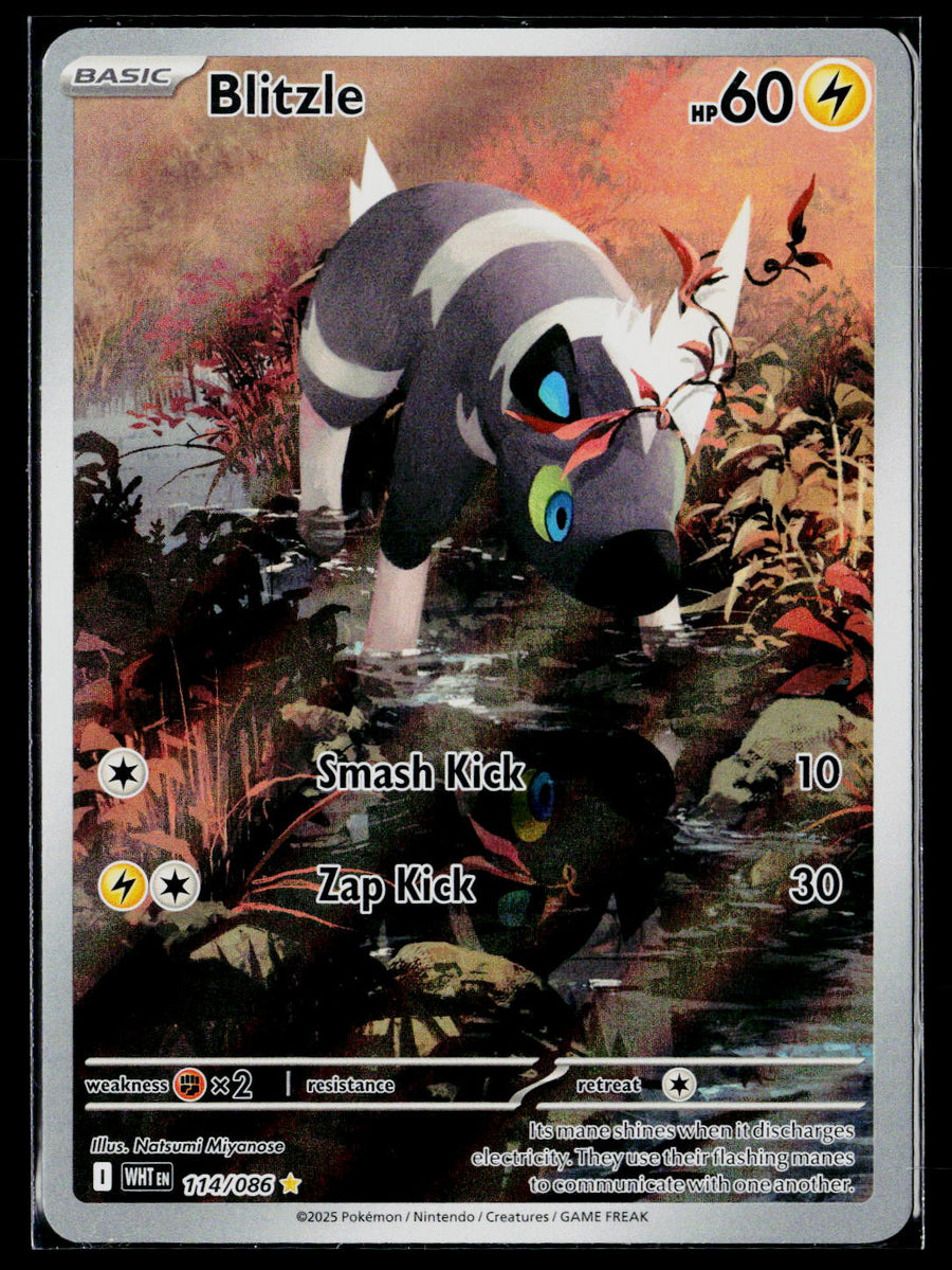 SV: White Flare #114/086 Blitzle