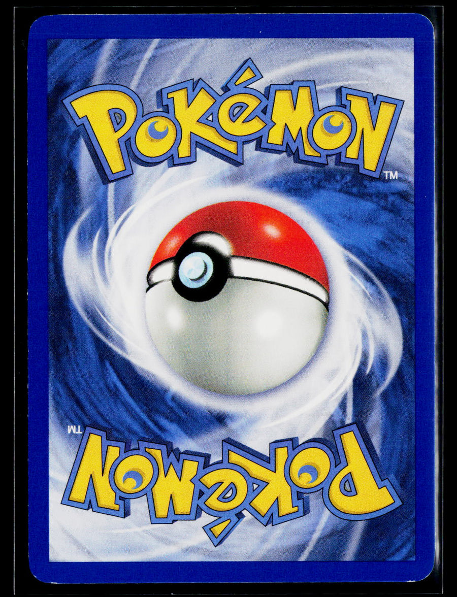 Pokemon Jungle Marowak