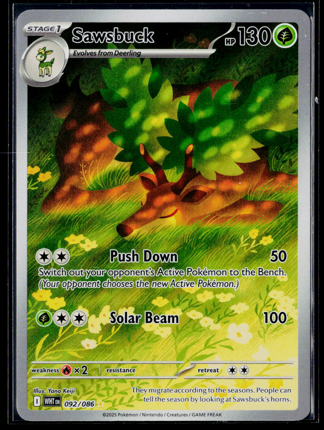 2025 Pokémon Scarlet & Violet - White Flare #92 Sawsbuck