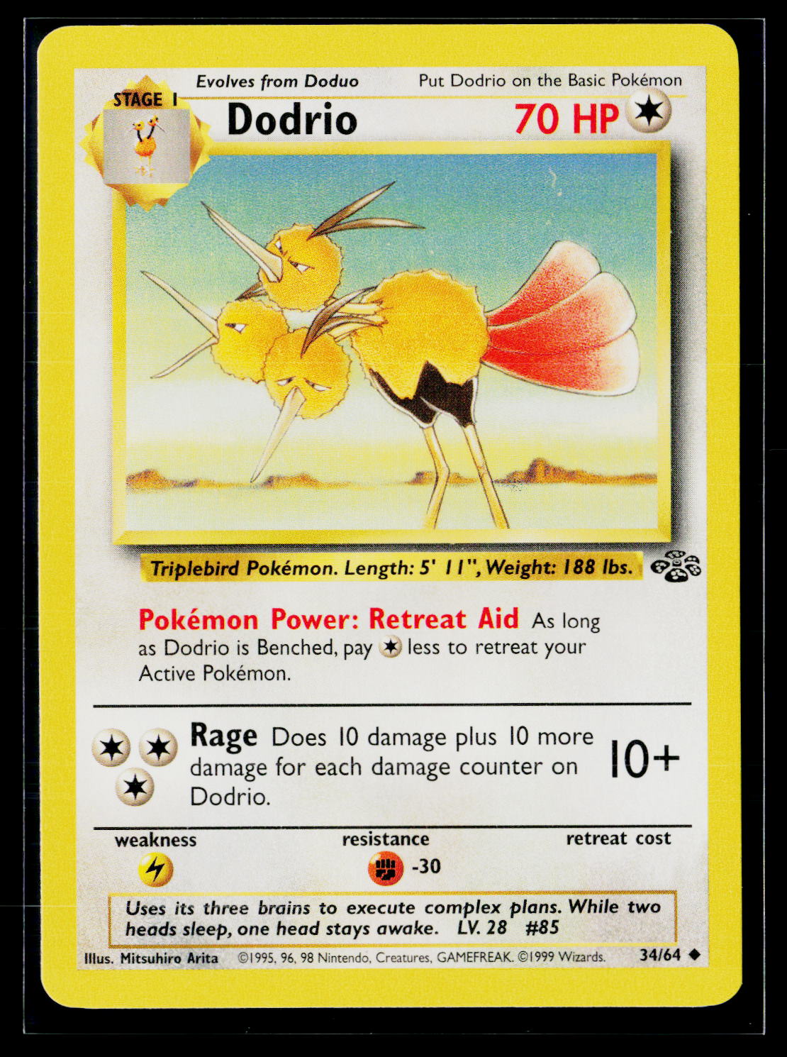Jungle #34/64 Dodrio